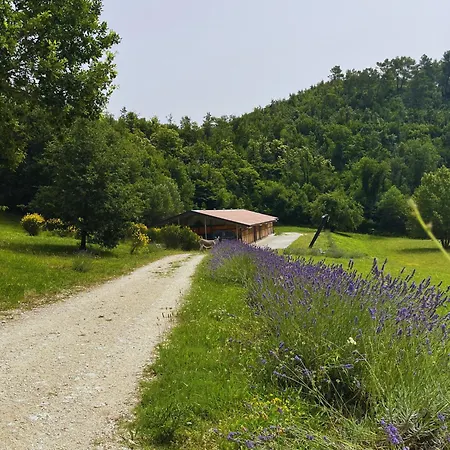 Il Borgo Incantato Depandance Farma Pompagnano